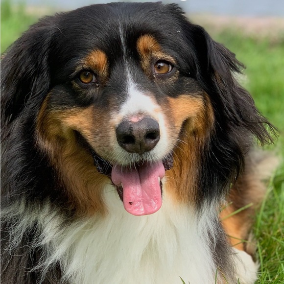 Meet your Posher, Cindy - Picture 2 of 2